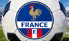 法国国家足球队队徽